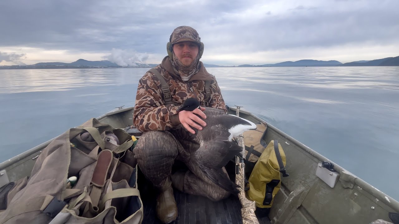 Sea duck and Brant hunting! Mix Bag! Stud Buffleheads - YouTube