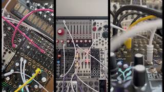 Xaoc Devices Sofia - Eurorack Module on ModularGrid