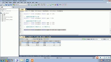 Java语法 492 DQL 条件查询