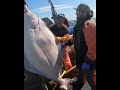 #shark #바다 #낚시