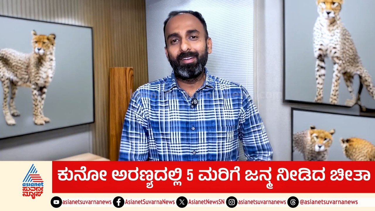 ಹಾಫ್ ಸೆಂಚುರಿ ದಾಟಿತು ಭಾರತದ ಚೀತಾ ಸಂತತಿ | India Cheetah Population | Suvarna News
