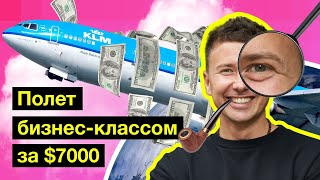 KLM. Королевский перелёт в бизнес-классе