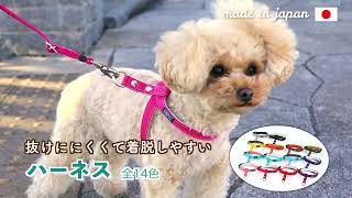 着脱かんたんハーネス【犬の首輪屋てるべる】