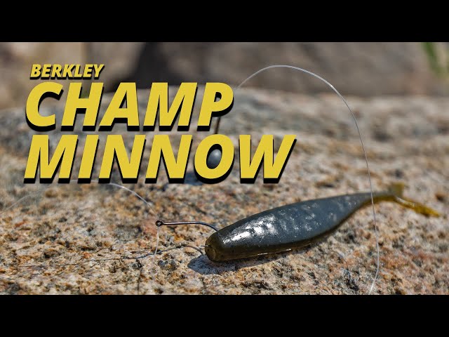 Berkley Champ Minnow Tackle Breakdown 