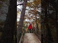 #화려한(단풍)산행.#spectacular climb