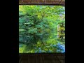 Kyoto’s Hidden Moss Temple Just Became Even More Magical After the Rain #asmr #relax #4k