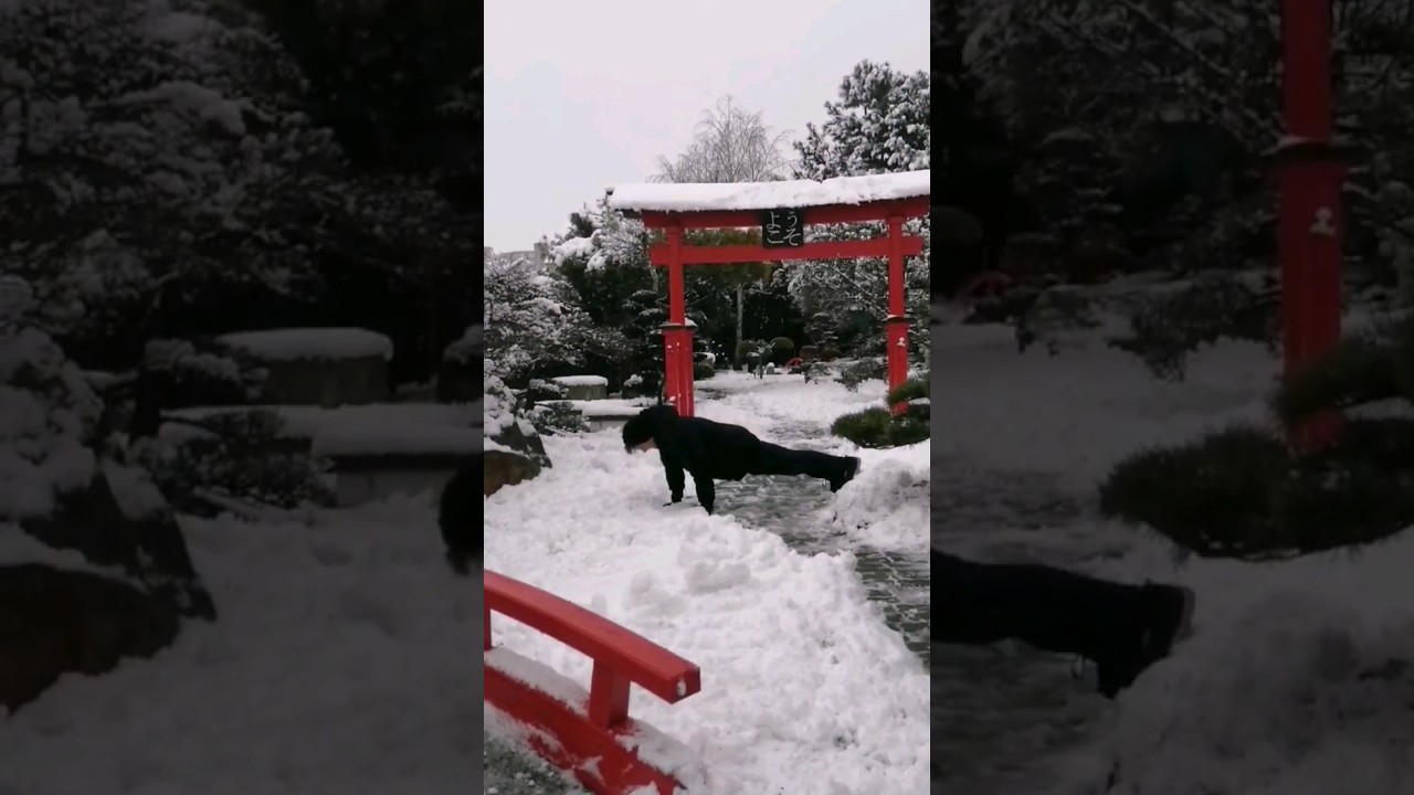 THIS EPIC Transition was WAY too clean... 😱💪🌴❄️ 