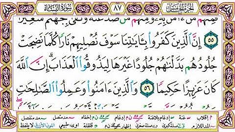 القرآن الكريم مقسم إلى أجزاء ｜ الجزء 5 مكتوب ｜ مقسم صفحات ｜ الشيخ حاتم فريد ｜ مصحف التجويد الملون