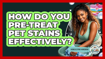 How Do You Pre-treat Pet Stains Effectively? - Homekeeping Handbook