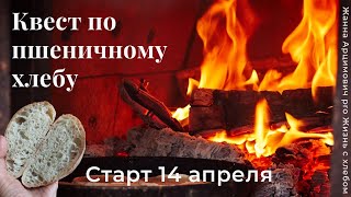 Приглашение на квест по пшеничному хлебу