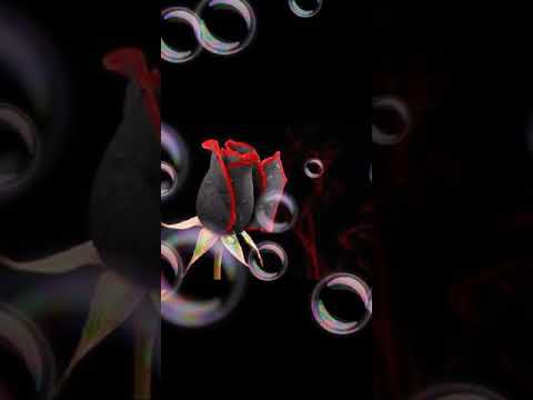 ذكرياتي البوم صور