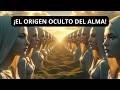 ¿Cómo Nace el Alma y Por Qué Reencarnamos? La Visión Espírita Explicada