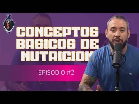 Conceptos básicos de