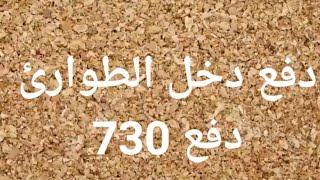 دفع دخل الطوارئ+دفع 730