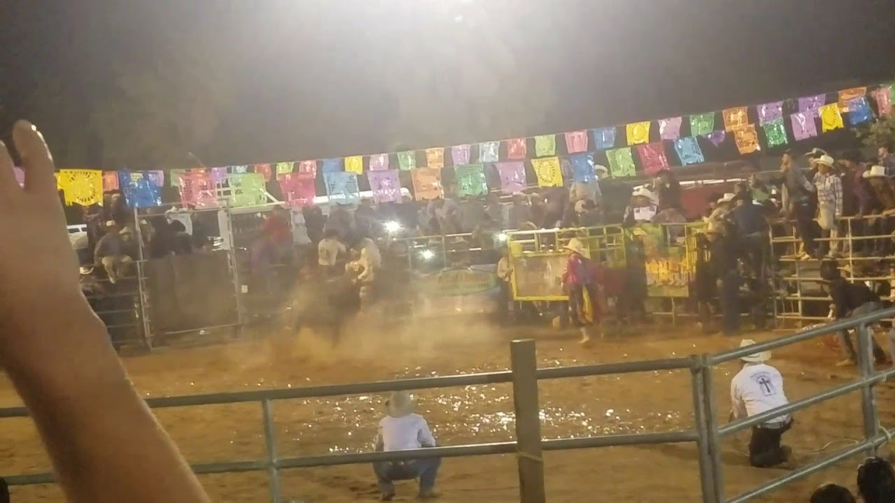 Jaripeo en colusa ca 2 YouTube