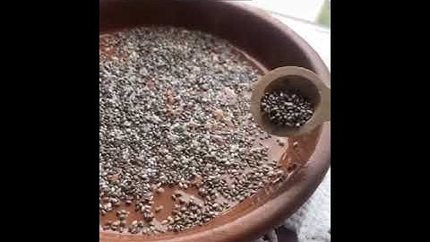 Chia can sprout make ur own juice and salad