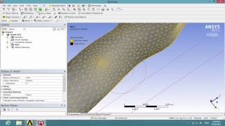 Simcafe: 3D Bifurcating Artery in FLUENT, Mesh #3