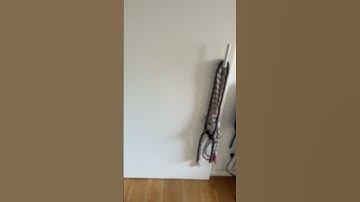 Blew #lofi #beats #music #rnb #lofihiphop #miaomiao #cute #kitten