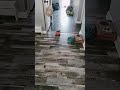#subscribe #trending