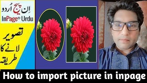 How to import picture in inpage || insert image inpage || how to insert picture in inpage