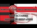 ТАО: Путь Вознесения.  Книга 12 . Возрастание мировой вибрации.
