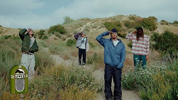 Paco - 3mtillidie (Official FRAMED)