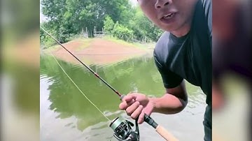 Con Mồi Nff  Dễ chơi Dễ Lụm