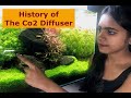 How Co2 idea came to Aquarium Hobby, History of Aquarium Co2 diffuser | Best Co2 Diffuser | ADA Co2