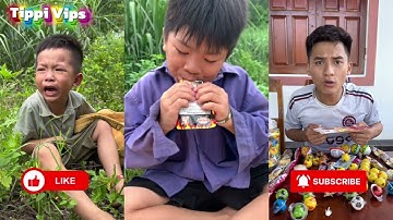 Tổng Hợp Các Video Hay Nhất Của Taem Tippi  Phần 20 #tippitv #tippivips