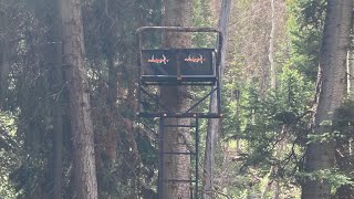 How To Set Up A Treestand The Big Buddy Treestand From Muddy Outdoors
