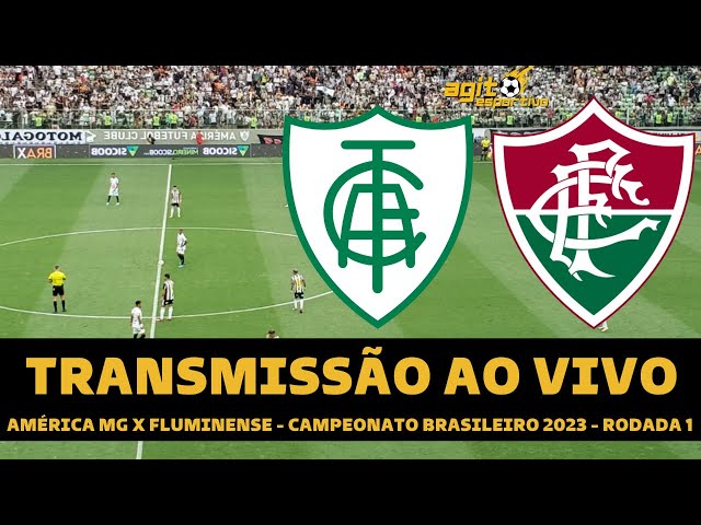 Fluminense x Goiás ao vivo: como assistir online e transmissão na TV do jogo  do Brasileirão - Portal da Torcida