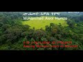 Muhammed Awol Muhammed Awol