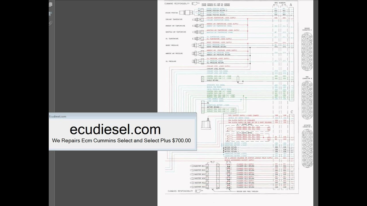 Cummins Ecm Wiring Diagram