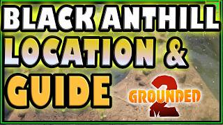 Grounded 2 Black Ant Hill Location, Guide & Science Shop Unlocks