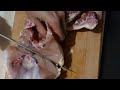 cez g is live! How to slice chicken