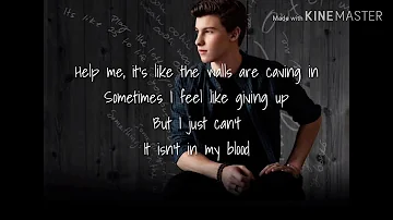 In My Blood - Shawn Mendes (lyrics)