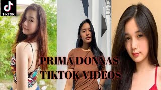 Prima Donnastiktok Video Compilation