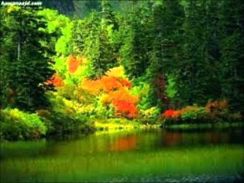 مشاري العفاسي أدعوك