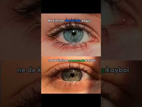 😌 Status üçün video sounds app instagram videoları tik tok videoları qısa video