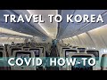 Travel to Korea during COVID: Tips & Mistakes not to Make: PCS/TDY