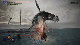 Solo Executor Vs Everdark Libra (ELDEN RING NIGHTREIGN)