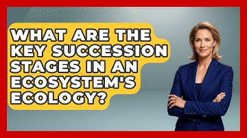 What Are The Key Succession Stages In An Ecosystem