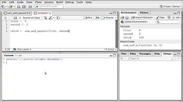 Working with functions (R)