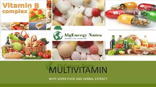 AlgEnergy Nurta Herbal Extract Multivitamin 500 mg Capsules