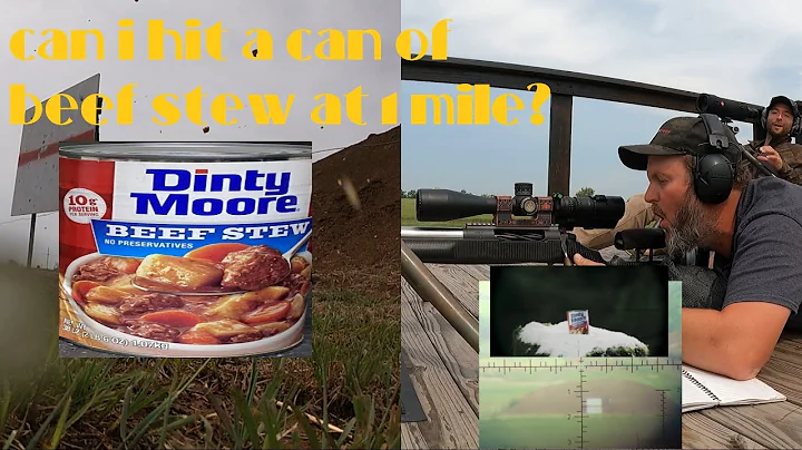 Can I hit a Dinty Moore beef stew can at a mile wi...