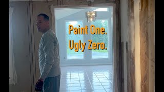 Paint One Ugly Zero