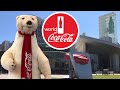 World Of Coca Cola (Atlanta Georgia) Tour & Review with The Legend