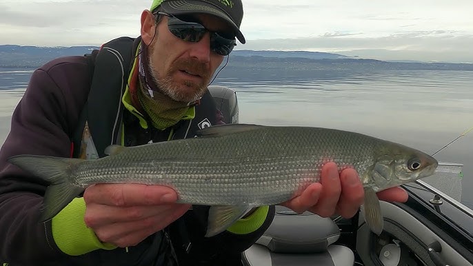 TUTO pêche du Corégone (féra) chez Loisirs et Pêche à Annecy 🎣 