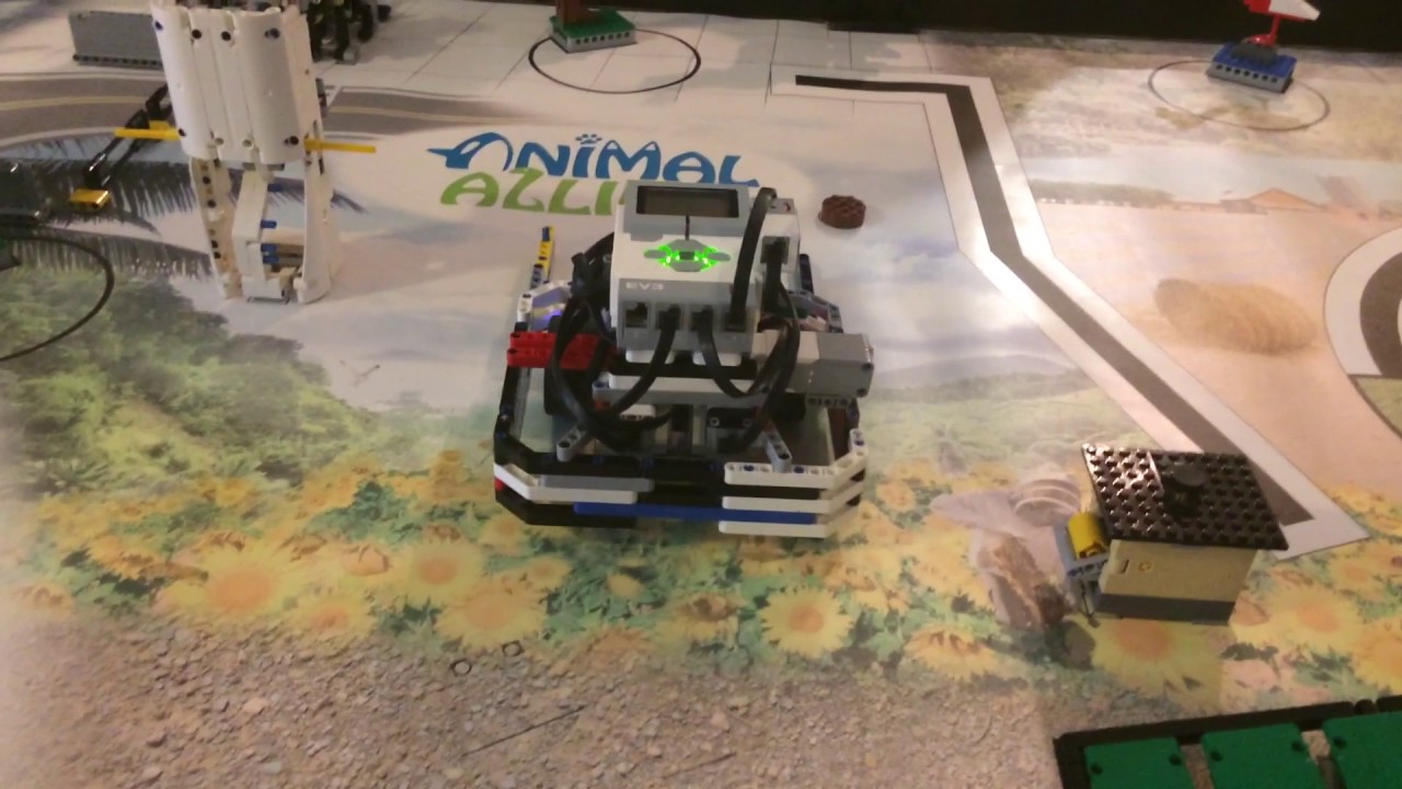 FLL ANIMAL ALLIES: Seal and Panda - YouTube
