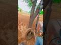 #farminglife #youtubeshorts #viral #viralvideo #massey #shorts #youtube #desi